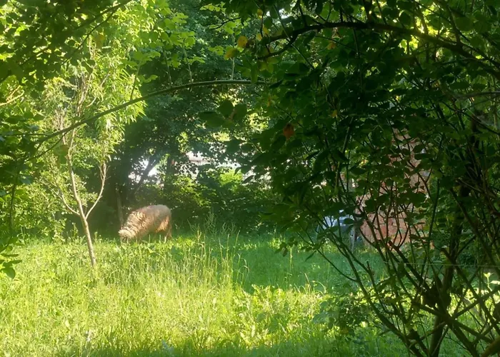 Semesterbostad Bistro Bistrica (Zlatibor)